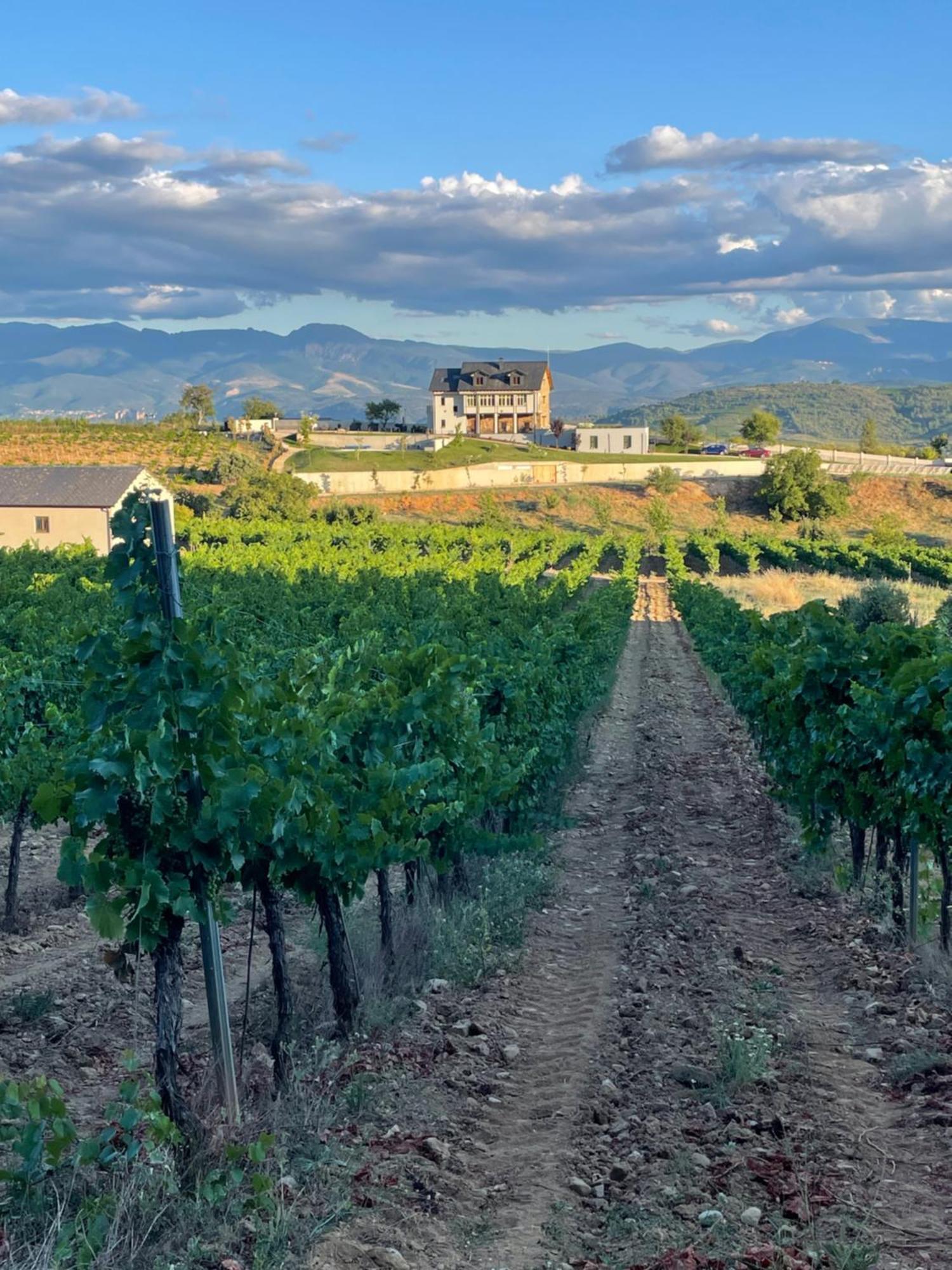 Boutique Finca Esencial Villafranca Del Bierzo Exterior photo